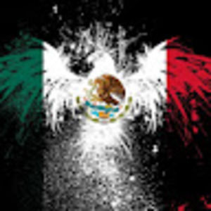 Meet your Posher, Luis